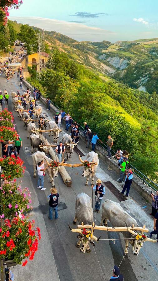 Residenza Sant'Angelo - Bike&Trekking House Daire Pietrapertosa Dış mekan fotoğraf